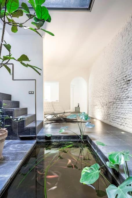 Elegante Duplex Centro Matahacas 1 Appartement *